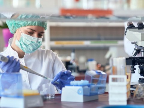 PCR diaqnostikası üçün 50-dən çox laboratoriya işə salınıb