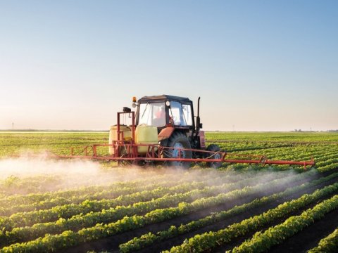 Sığortalanan heyvan və bitkilərin sayı artırıldı