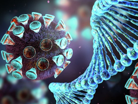 Koronavirus mutasiyaya uğradıqca, ZƏİFLƏYİR