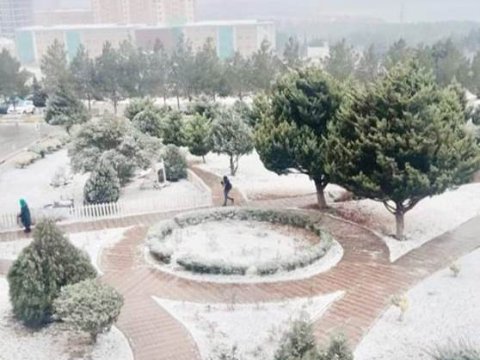 Bakıətrafı qəsəbələrə qar yağıb - FOTOLAR