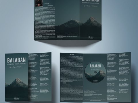 Musiqi albomu çapdan ÇIXDI