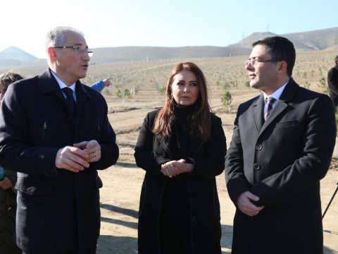 Prezidentin yubileyinə həsr olunan ağacəkmə aksiyası - FOTO