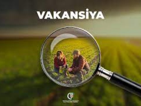 Bu nazirlikdə 308 vakant iş yeri var