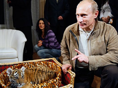 Pələng ili üçün “Putin düyünü”