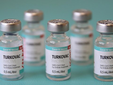 Türkiyənin milli vaksini istifadəyə verilib