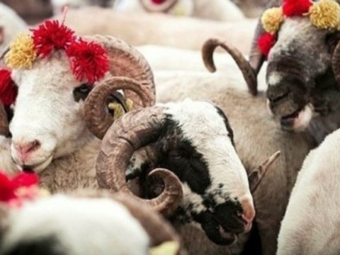 Növbəti Qurban bayramının VAXTI