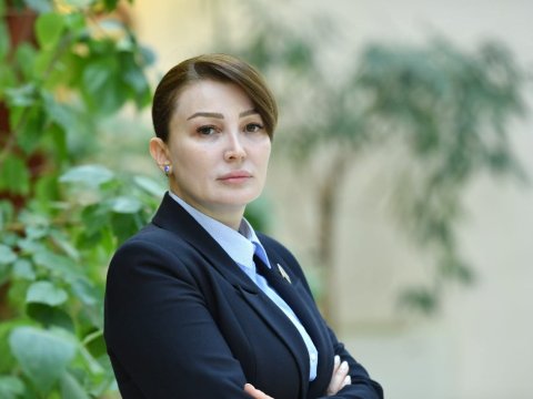 2021-ci ildə parlament yüzlərlə qanun qəbul etdi - Jalə Əhmədova