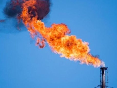 Avropada qazın qiyməti 16% artıb