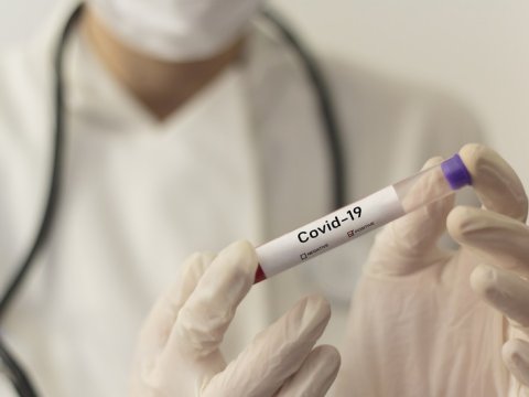 Koronavirusla bağlı müraciətlər AZALIB