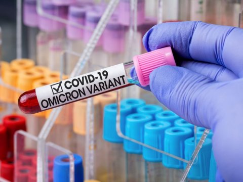 Azərbaycanda sürətlə yayılan virus 