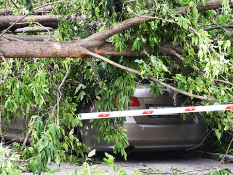 Küləyin təbiətə vurduğu ziyanın MƏBLƏĞİ