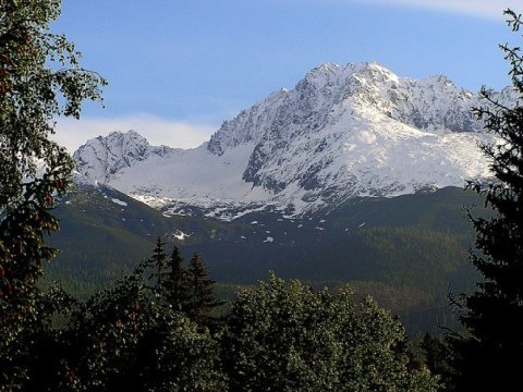 Polşalı turistlər itkin düşdü