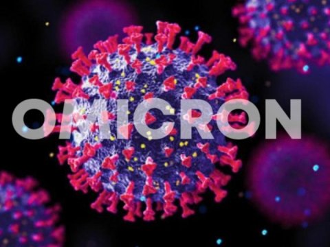 “Omicron” ştamı bu hallarda daha tez məhv olur