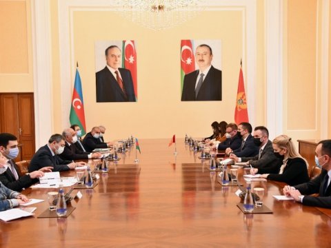 Əli Əsədov Monteneqro parlamentinin sədri ilə GÖRÜŞDÜ