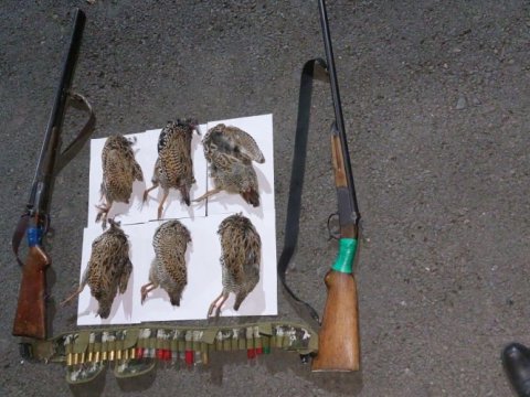 “Qırmızı kitab”a düşmüş quşları ovlayanlar TUTULDU