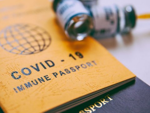 Polis 12 min saxta peyvənd sertifikatını araşdırır