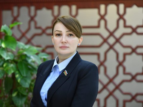 20 Yanvar hadisələri milli kimliyimizi formalaşdırdı