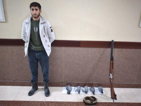 İsmayıllıda ov edən şəxs SAXLANILDI