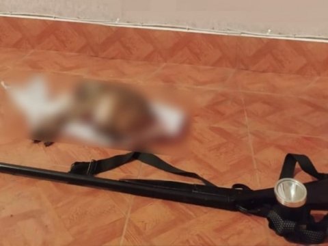 Qanunsuz ov edənlər saxlanıldı