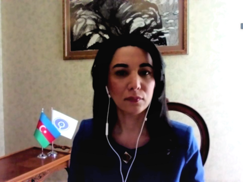 Ombudsman ATƏT-də Ermənistan rəsmisini susdurdu
