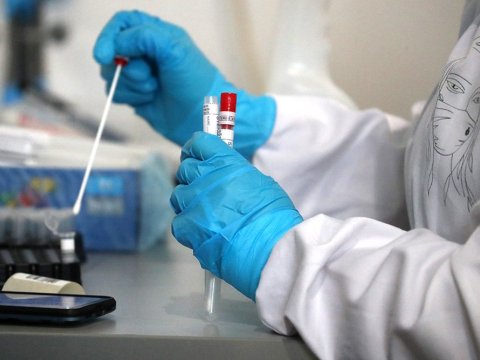 Gürcüstanda bir gündə minlərlə insan virusa yoluxdu