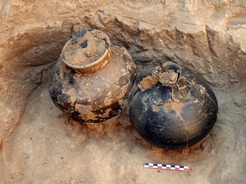 Lerikdə 5 yeni kurqan aşkarlandı