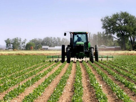 254 min hektar əkinə yararlı torpaq GERİ QAYTARILIB