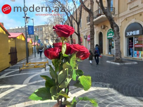 Bakının Sevgililər Günü - REPORTAJ
