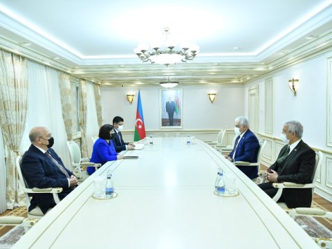 Sahibə Qafarova türkiyəli deputatlarla görüşdü