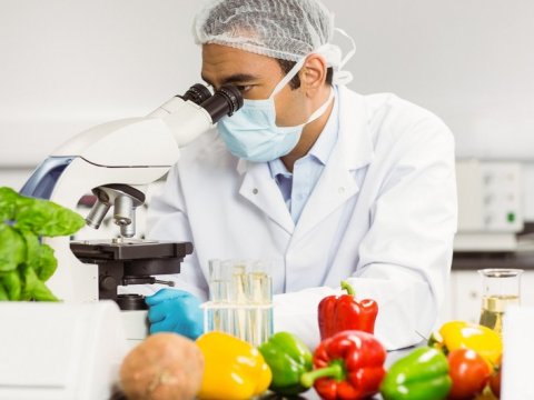 Qida Təhlükəsizliyi Reyestri yaradılır