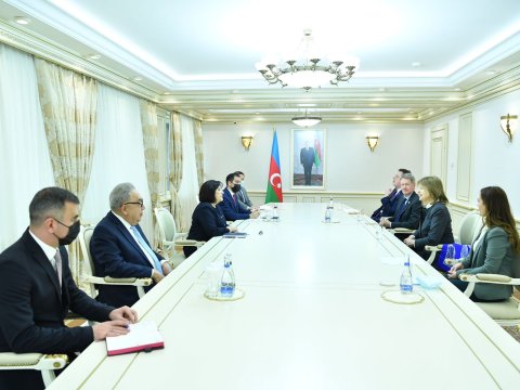 Spiker Böyük Britaniya Baş nazirinin ticarət elçisi ilə görüşüb