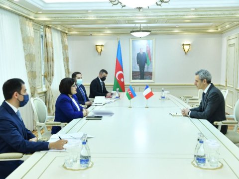 Sahibə Qafarova Fransa səfiri ilə görüşdü