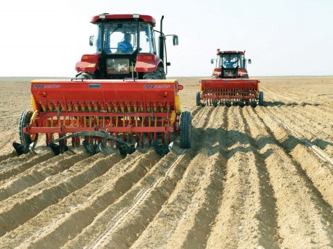 Ukraynalılar güllə altında taxıl əkir