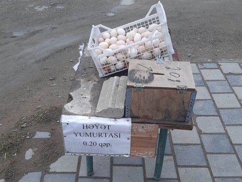 Bakıda özünəxidmət formasında yumurta satışı - Maraqlı FOTO