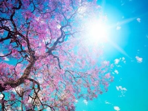 Baharın gəlişi 20 dəfə martın 19-na düşəcək