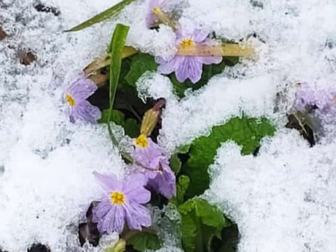 Milli parklara gələn turistlərin sayı artıb - FOTOLAR