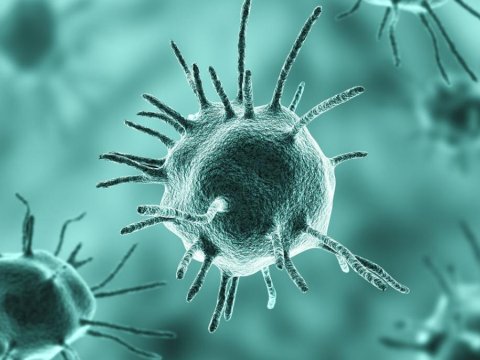 Ermənistanda 19 yoluxma aşkarlandı