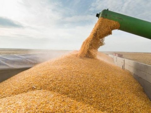 Hindistan Azərbaycana buğda satmaq istəyir