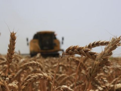 Ruslar əkin yerlərini minalayır  - Taxıl böhranı yetişir