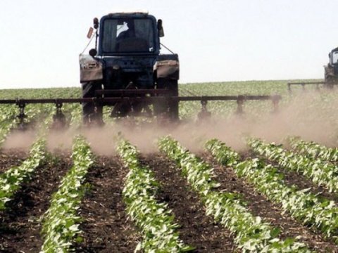 Ukraynaya bu dəstək ərzaq təhlükəsizliyi baxımından vacibdir