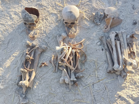 Fərrux kəndində tapılan insan qalıqları şəhidlərimizə AİDDİR