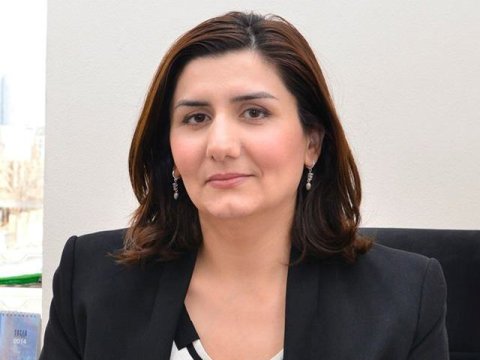 Zeynab Kazımovaya Hesablama Palatasında vəzifə verildi