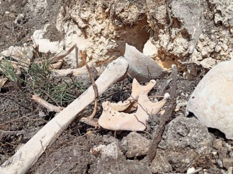 Fərruxda tapılan qalıqlar beynəlxalq məhkəmələrə təqdim olunmalıdır!