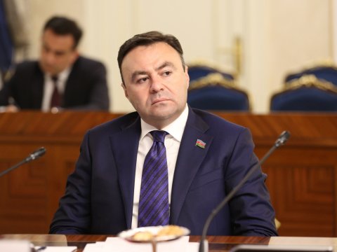 Qara yaxmaqdan başqa heç nə bacarmayanların işi yalnız neqativ axtarmaqdır