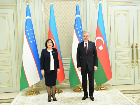 Sahibə Qafarova Şavkat Mirziyoyevlə görüşüb