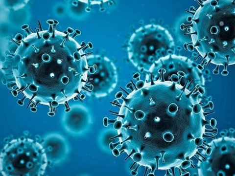 Koronavirusun yeni variantı - Yüzlərlə ölən var
