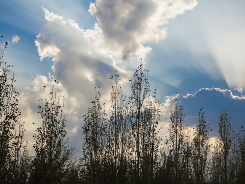 Sabahın havası: duman olacaq, külək əsəcək