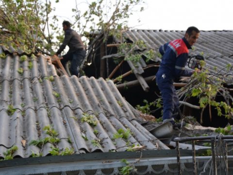 Güclü külək rayonlara ziyan vurdu - FOTOLAR