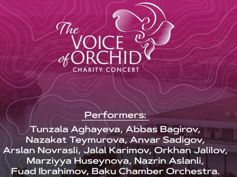 Vaşinqtonda ANAMA-ya dəstək konserti keçiriləcək