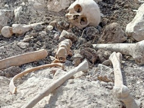 Fərrux yüksəkliyində tapılmış meyit qalıqlarının azərbaycanlılara aid olduğu TƏSDİQLƏNİB
